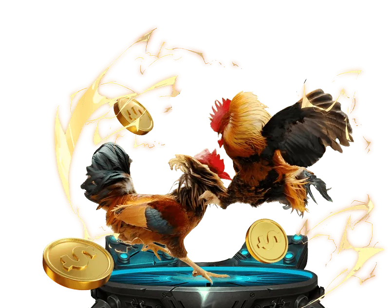 Hoàn trả đá gà hàng ngày WW88